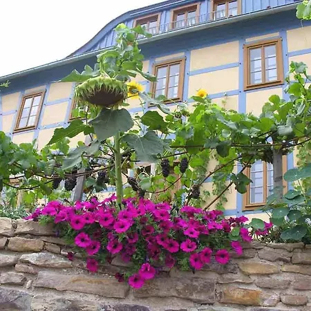 Apartman In Der Alten Weinstube *