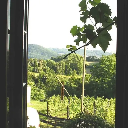 In Der Alten Weinstube Freital